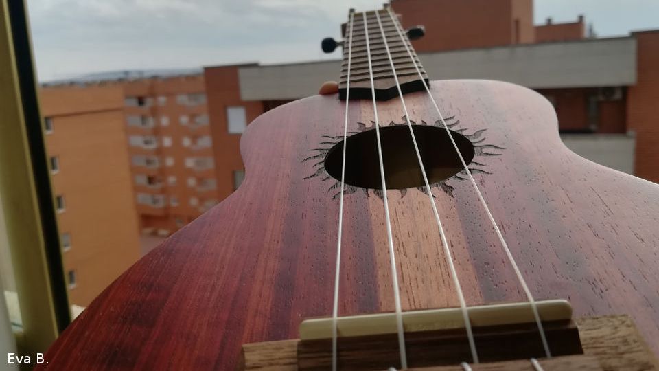 Guitarra y ukelele