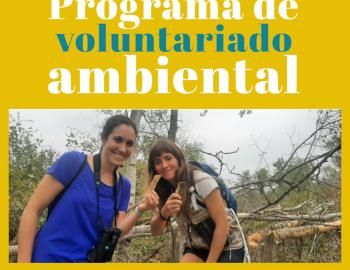 Voluntariado Ambiental