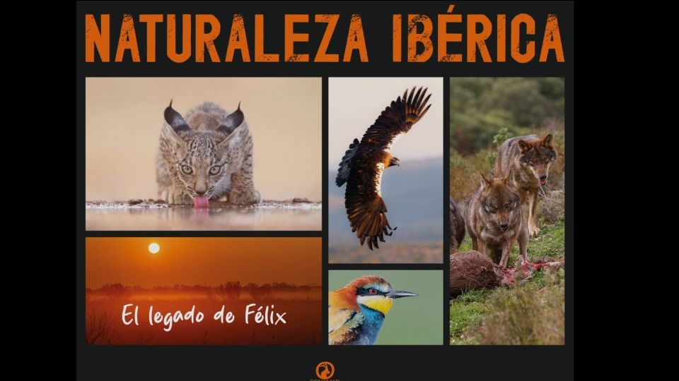 Exposición "Naturaleza Ibérica, el legado de Félix"