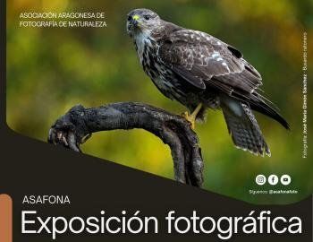 Exposición de fotografía de naturaleza ASAFONA 2026