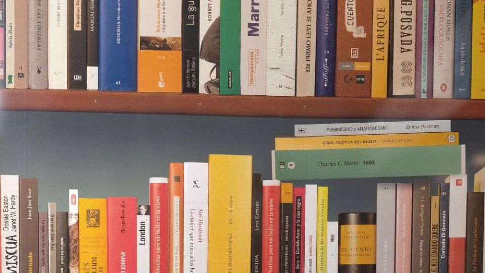 Domingos lectores