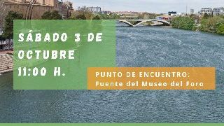 Visita Zaragoza y el Agua