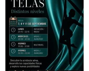 Curso regular de acrobacia aérea (telas)