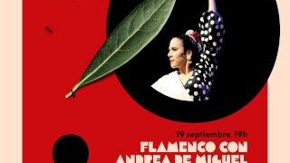 Flamenco con Andrea de Miguel