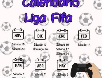 Liga Fifa 25