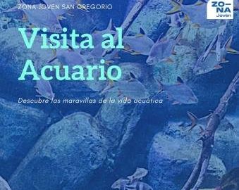 Visita al Acuario de Zaragoza