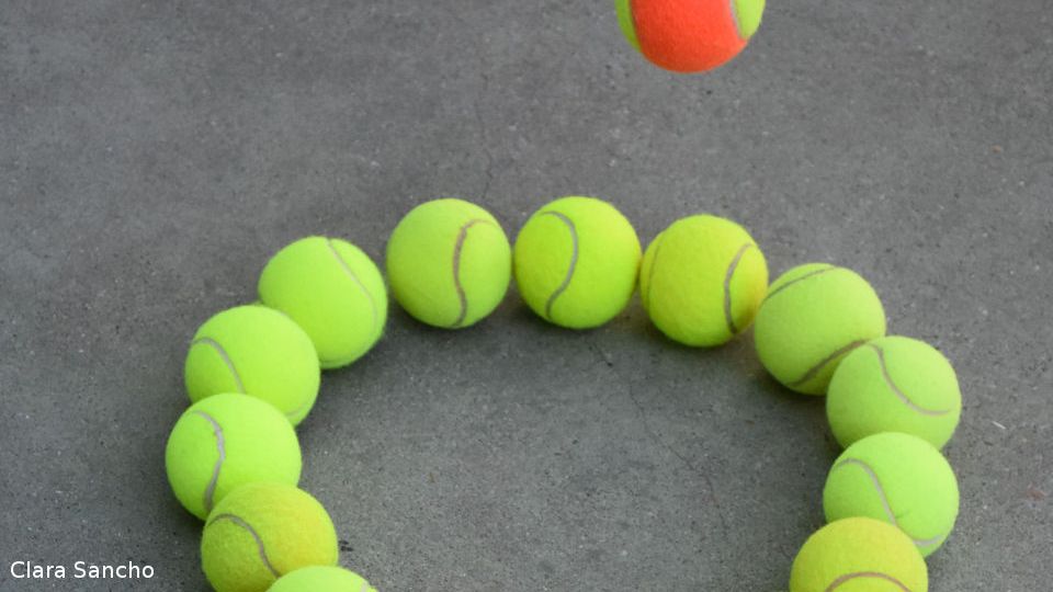 Tenis