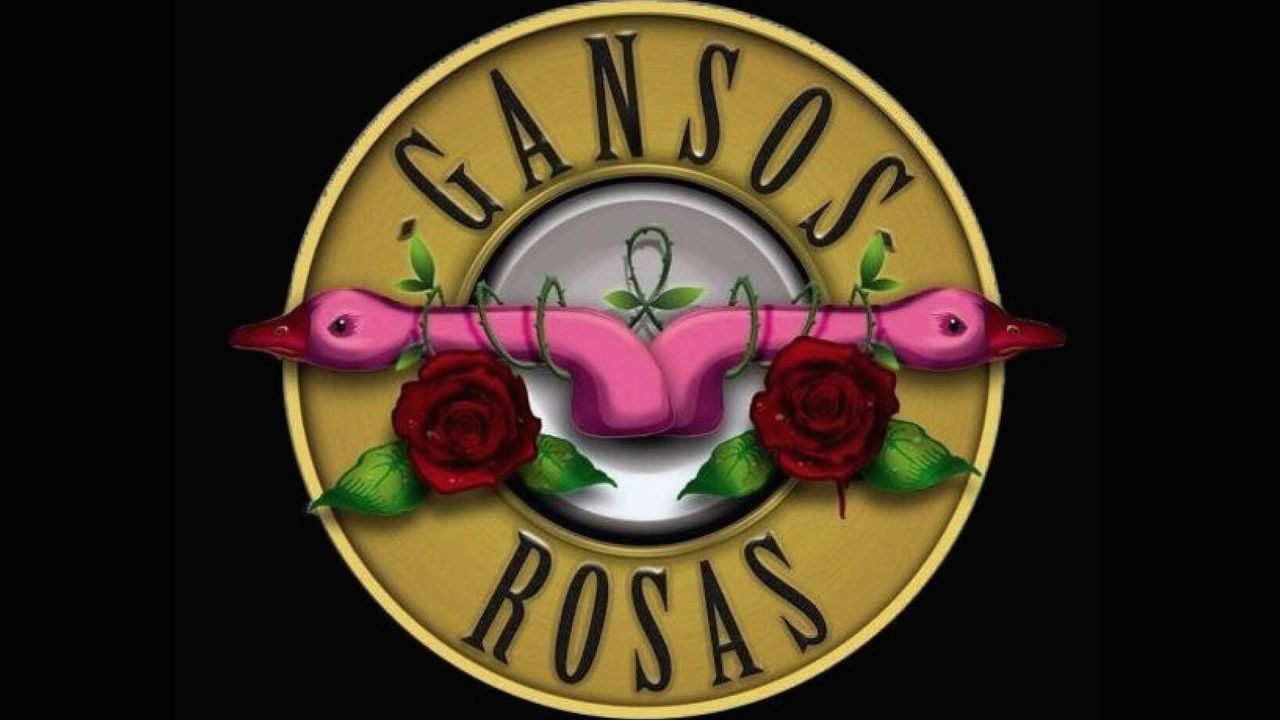 Gansos Rosas en Zaragoza