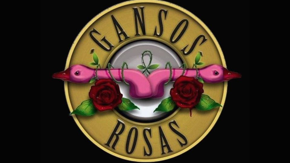 Gansos Rosas en Zaragoza