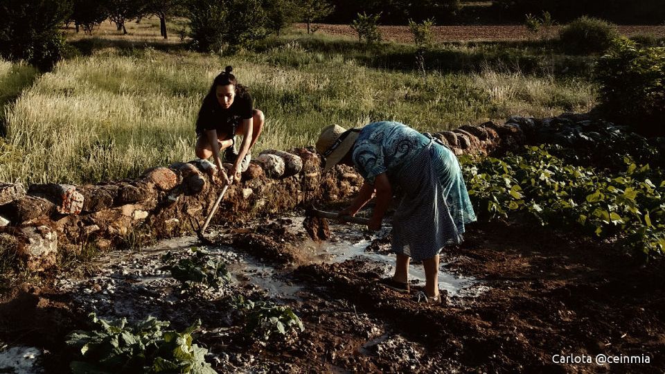 Solidaridad y Ecología
