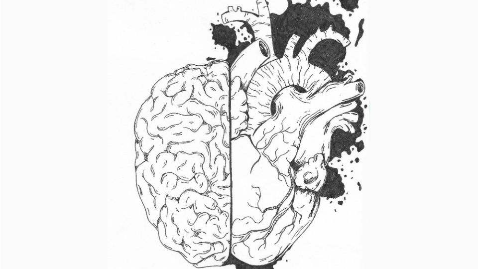 Workshop Science Joven: Corazón y pulmón