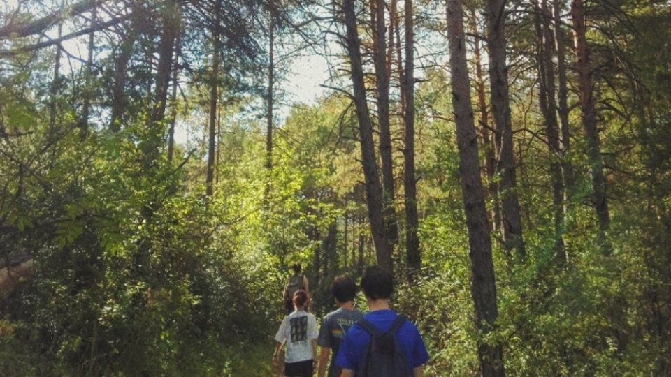 Colonias de verano para jóvenes en el Moncayo