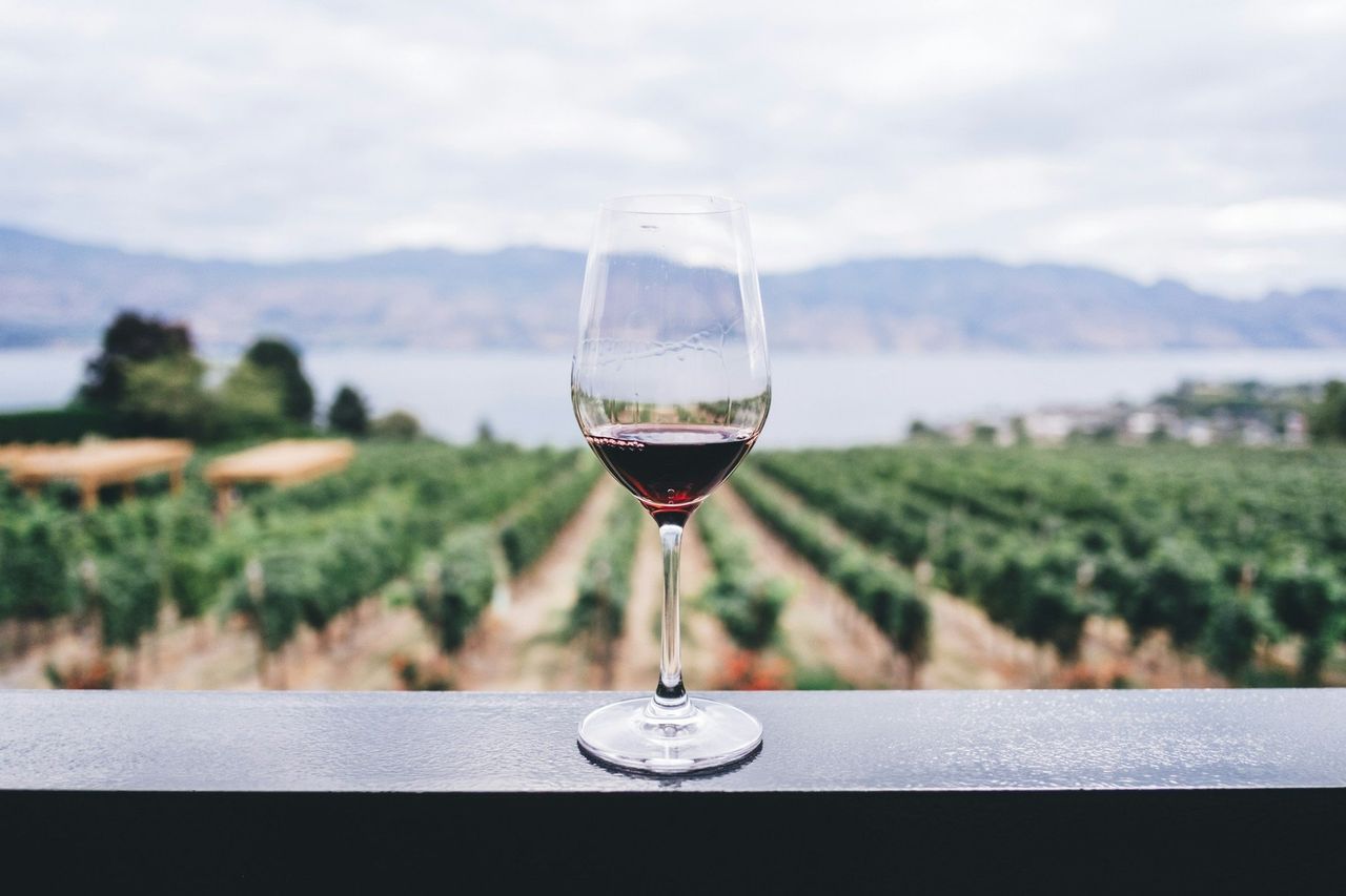 Cata de vinos. Foto: <a href="https://unsplash.com/@kymellis?utm_source=Hoy%20Apps&utm_medium=referral" target="_blank" rel="noopener">Kym Ellis</a> (<a href="https://unsplash.com/photos/clear-wine-glass-overlooking-orchard-during-daytime-aF1NPSnDQLw?utm_source=Hoy%20Apps&utm_medium=referral" target="_blank" rel="noopener">Unsplash</a>)