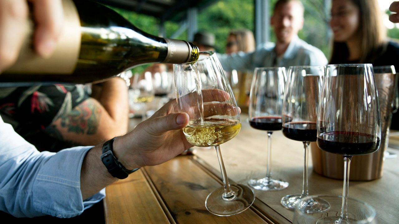 Cata de vinos. Foto: <a href="https://unsplash.com/@_carolineattwood?utm_source=Hoy%20Apps&utm_medium=referral" target="_blank" rel="noopener">Caroline Attwood</a> (<a href="https://unsplash.com/photos/a-group-of-people-sitting-at-a-table-with-wine-glasses-z38uTGNpNnA?utm_source=Hoy%20Apps&utm_medium=referral" target="_blank" rel="noopener">Unsplash</a>)