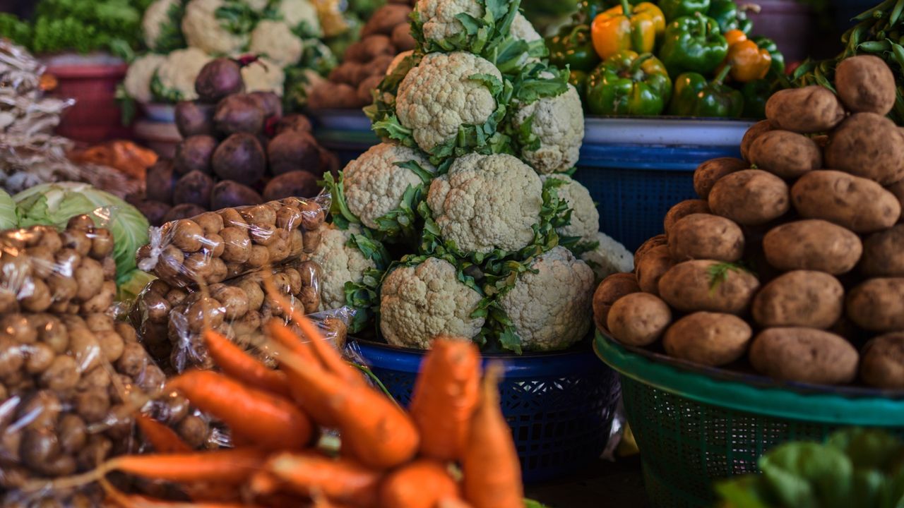 Feria agroalimentaria de Zaragoza: un festín para los sentidos