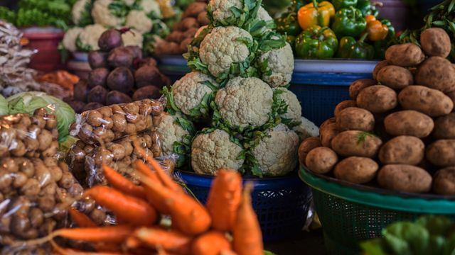 Feria agroalimentaria de Zaragoza: un festín para los sentidos